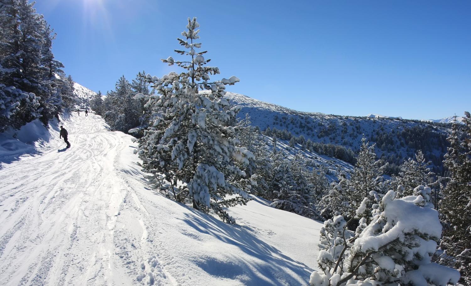 Ski Chalet Borovets Eksteriør bilde
