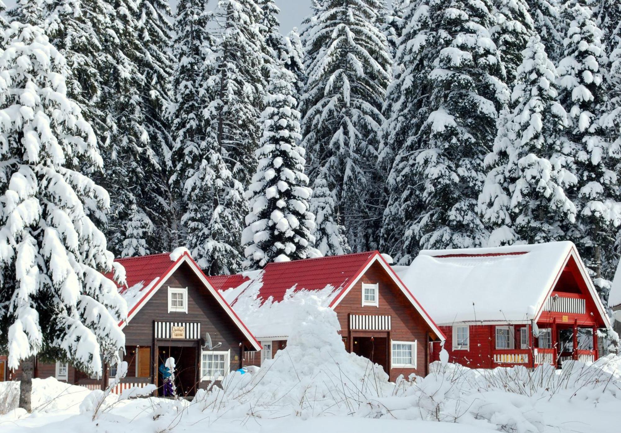 Ski Chalet Borovets Eksteriør bilde