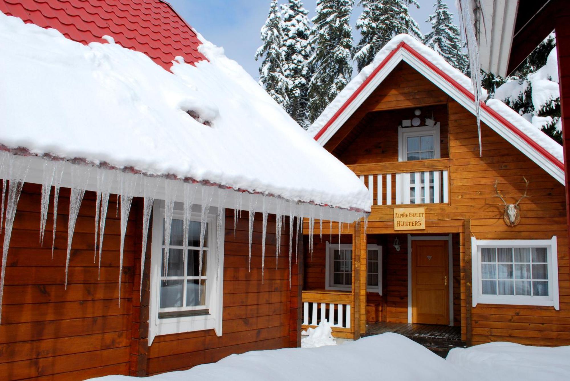 Ski Chalet Borovets Rom bilde